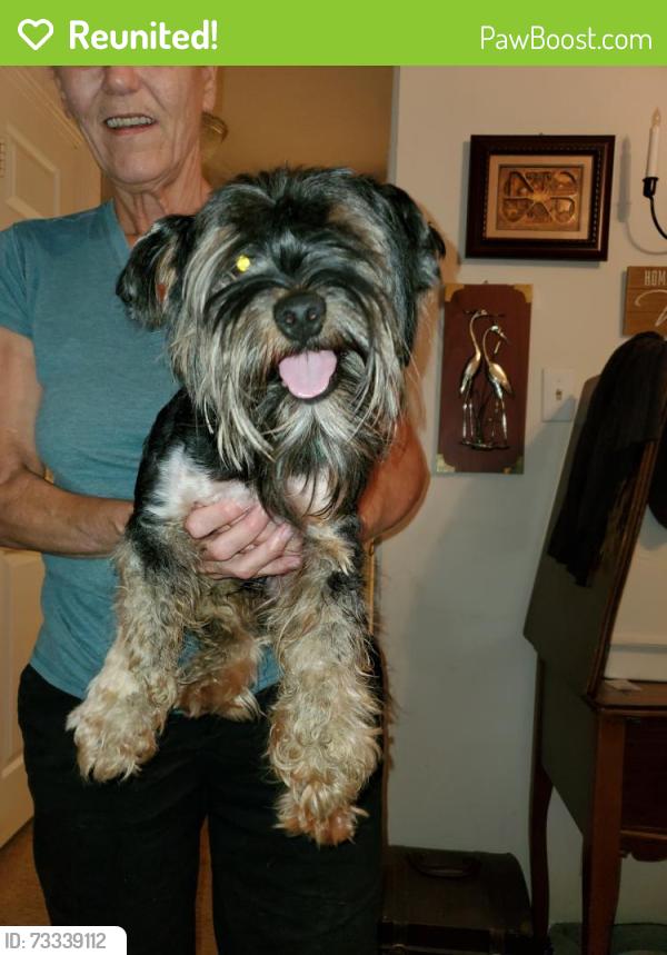 Reunited Male Dog last seen Lafayette and Ryder ave, Clarksville, TN 37042