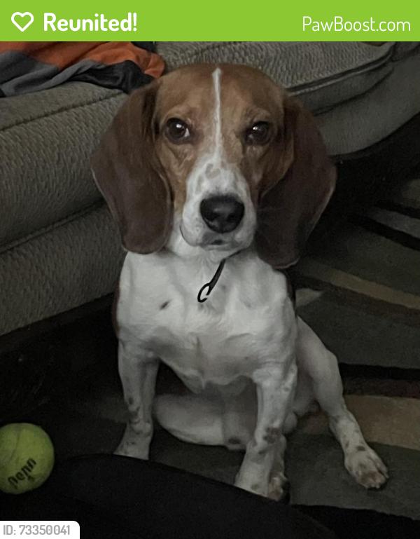 Reunited Male Dog last seen Duluth, Gwinnett County, GA 30096
