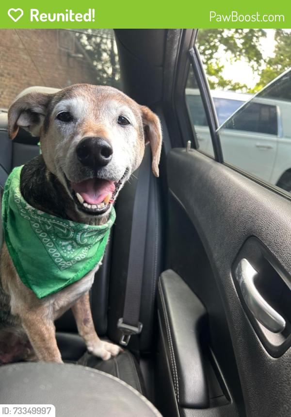 Reunited Male Dog last seen Sedgwick Drive, Virginia Beach, VA 23454
