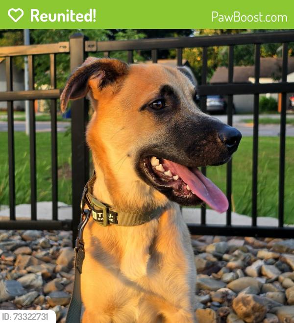 Reunited Male Dog last seen Near doe run dr, Yukon, OK 73099