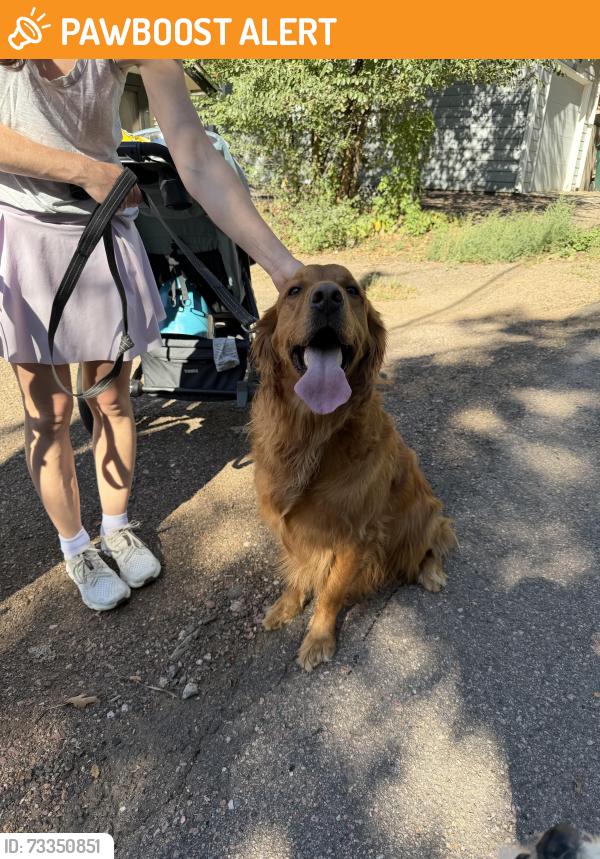 Found/Stray Unknown Dog last seen Old Colorado City, Colorado Springs, CO 80904