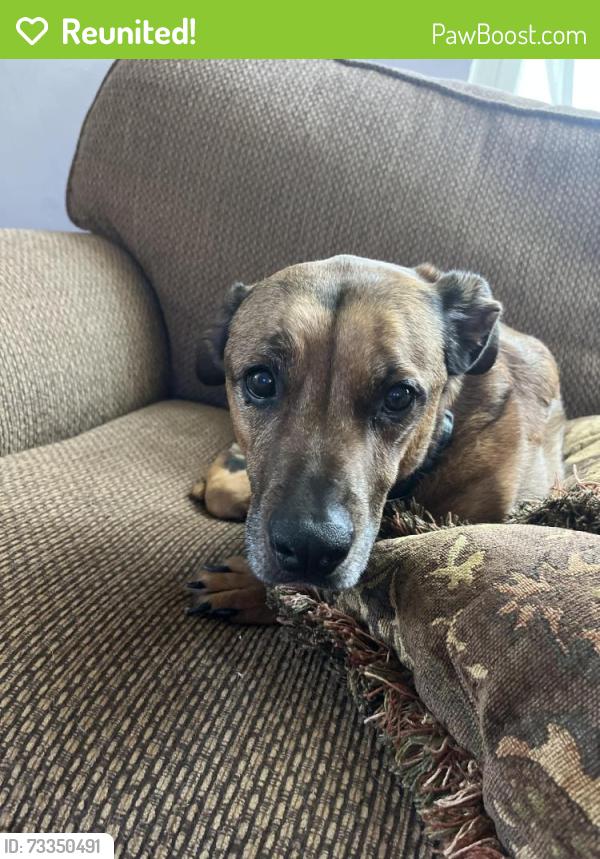 Reunited Male Dog last seen Nw 122st St. okc, Oklahoma City, OK 73142