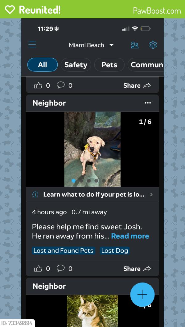 Reunited Male Dog last seen Near, Miami Beach, FL 33139