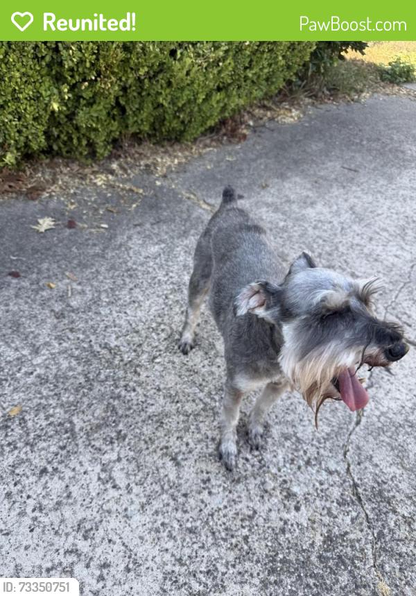 Reunited Male Dog last seen Carroll dr & s glenbrook, Garland, TX 75041