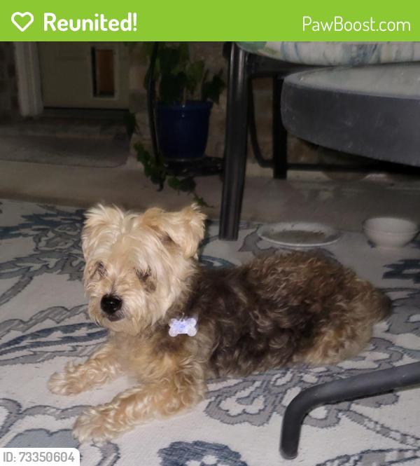 Reunited Male Dog last seen Auburn Reach, Porter, TX, Porter, TX 77365