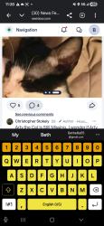 Lost Male Cat last seen Avenue I, Houston, TX 77011