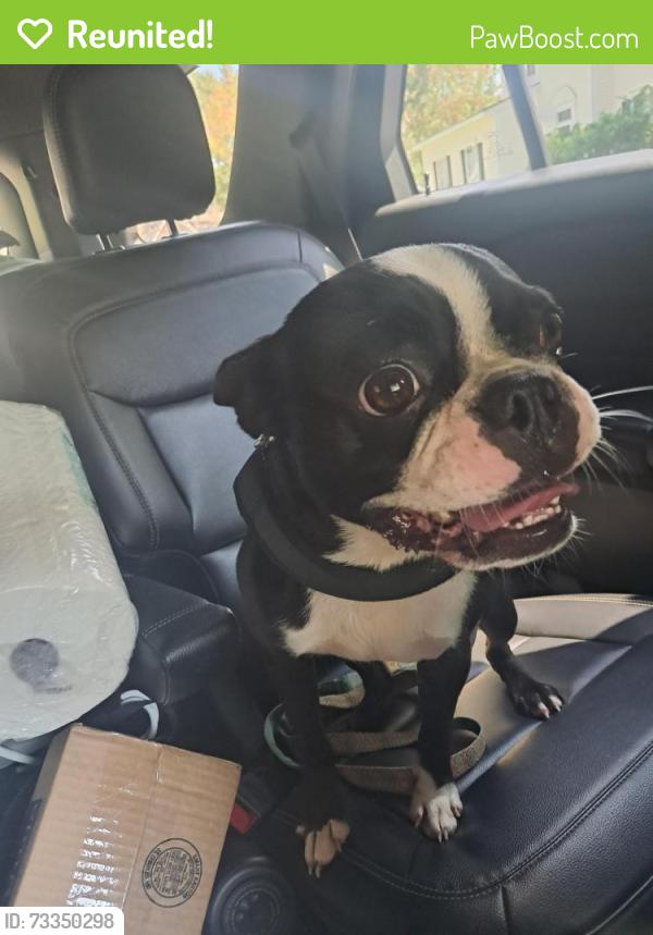 Reunited Male Dog last seen Belle Hall, Mount Pleasant, SC 29464