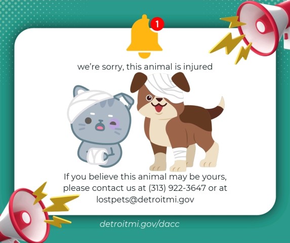 Shelter Stray Male Dog last seen Near BLOCK STOUT ST, DETROIT, MI 48228, 7401 Chrysler Dr, Detroit, MI 48211, USA