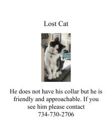 Lost Male Cat last seen Beck and warren, Canton Township, MI 48187
