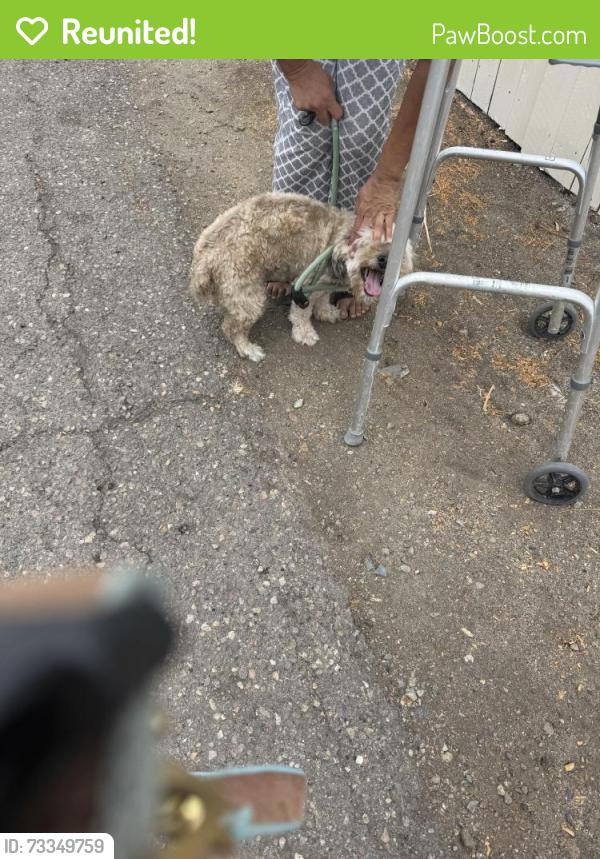 Reunited Male Dog last seen Crest, Spring Valley, CA 91977