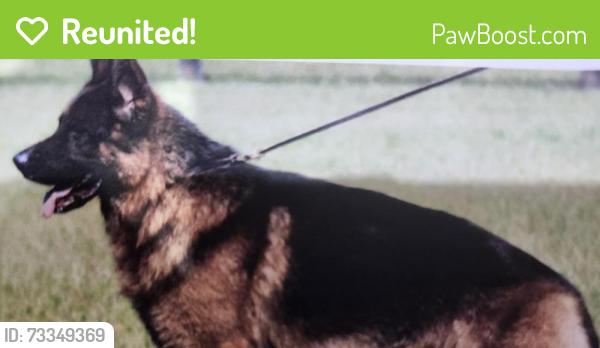 Reunited Male Dog last seen S. Creekmont and Everhart Terrace, Fresno, TX 77545