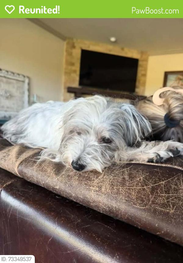 Reunited Male Dog last seen Dillehay Dr, Parker, TX 75002