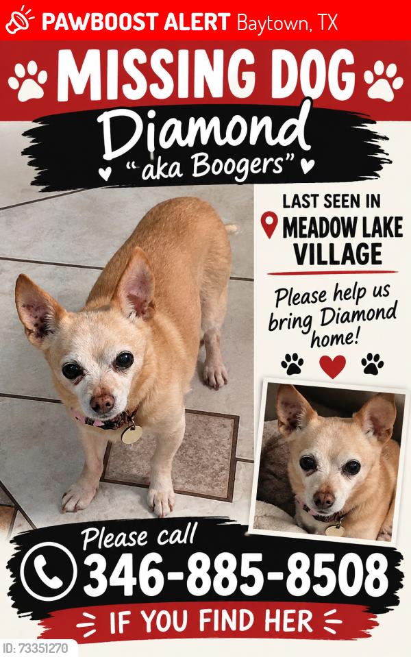 Lost Female Dog last seen Meadow lake village, Baytown, TX 77522