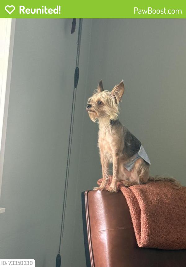 Reunited Male Dog last seen 20th st, Sanford, FL 32771