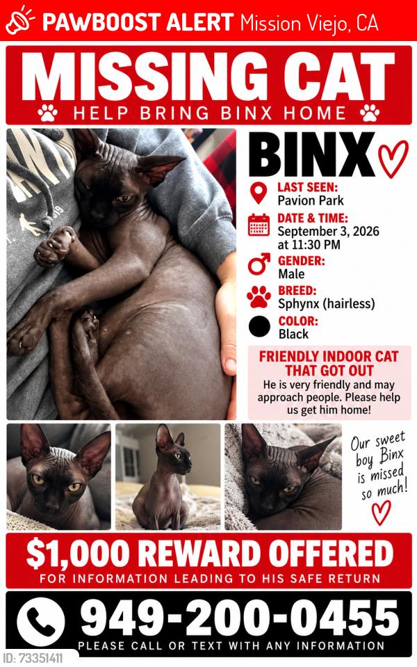 Lost Male Cat last seen Pavion Park, Mission Viejo, CA 92692