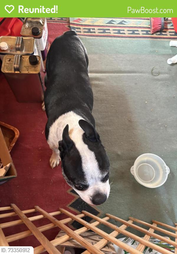 Reunited Male Dog last seen South Mobile and S. Olathe Way, Aurora, CO 80013