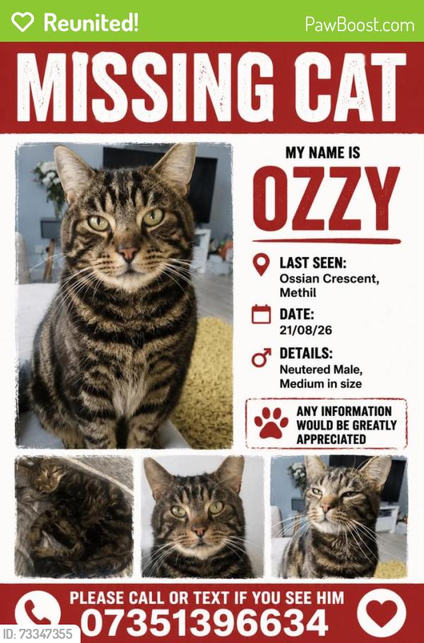 Reunited Male Cat last seen Methil, Fife, Methil, Scotland KY8 3LY