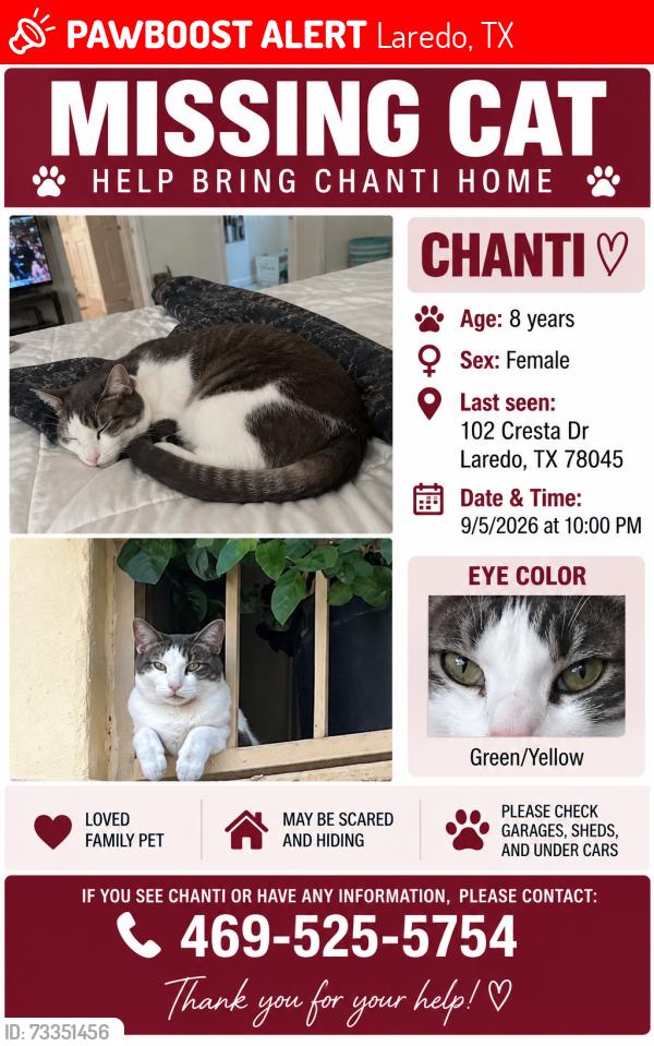 Lost Female Cat last seen cresta drive and palmetto drive, Laredo, TX 78045