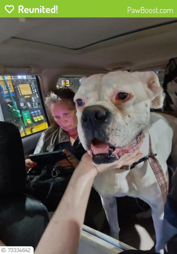 Reunited Female Dog last seen Orchard next to 3639 road e ne, Moses Lake, WA 98837