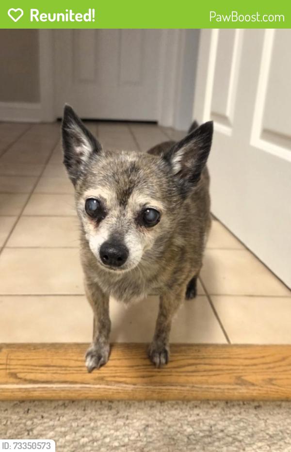 Reunited Male Dog last seen Lauren Hill and Old Gamber, Finksburg, MD 21048