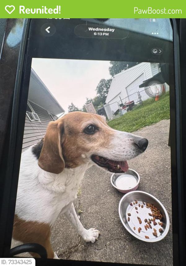 Reunited Male Dog last seen Near Edwards dr Grafton village, Fredericksburg, VA 22405