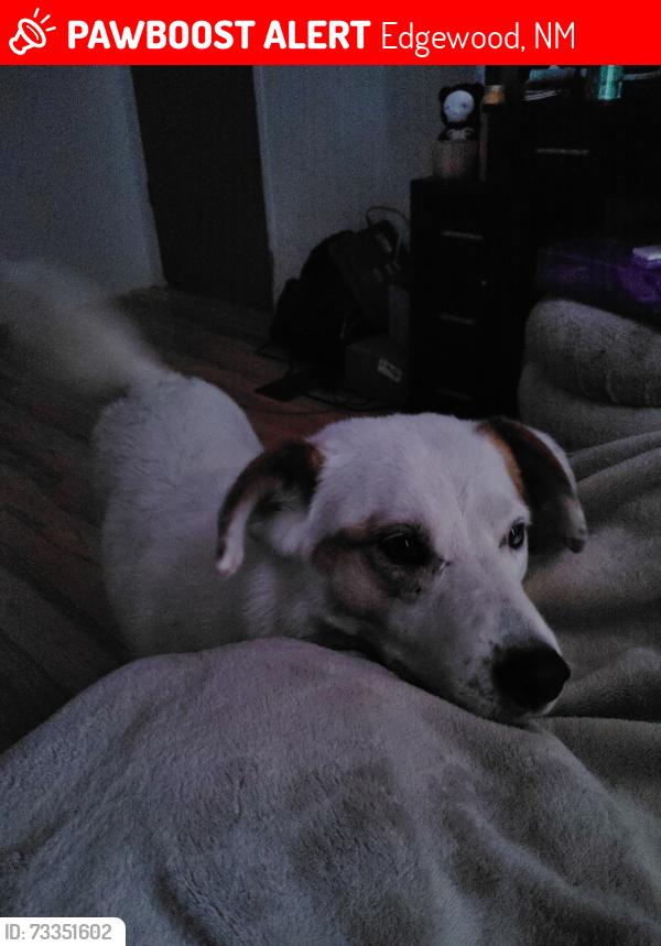 Lost Female Dog last seen Near and community, Edgewood, NM 87015