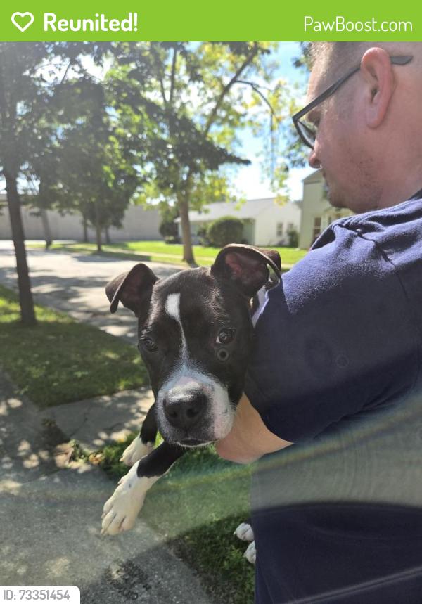 Reunited Male Dog last seen Hampton and 22nd, Milwaukee, WI 53209