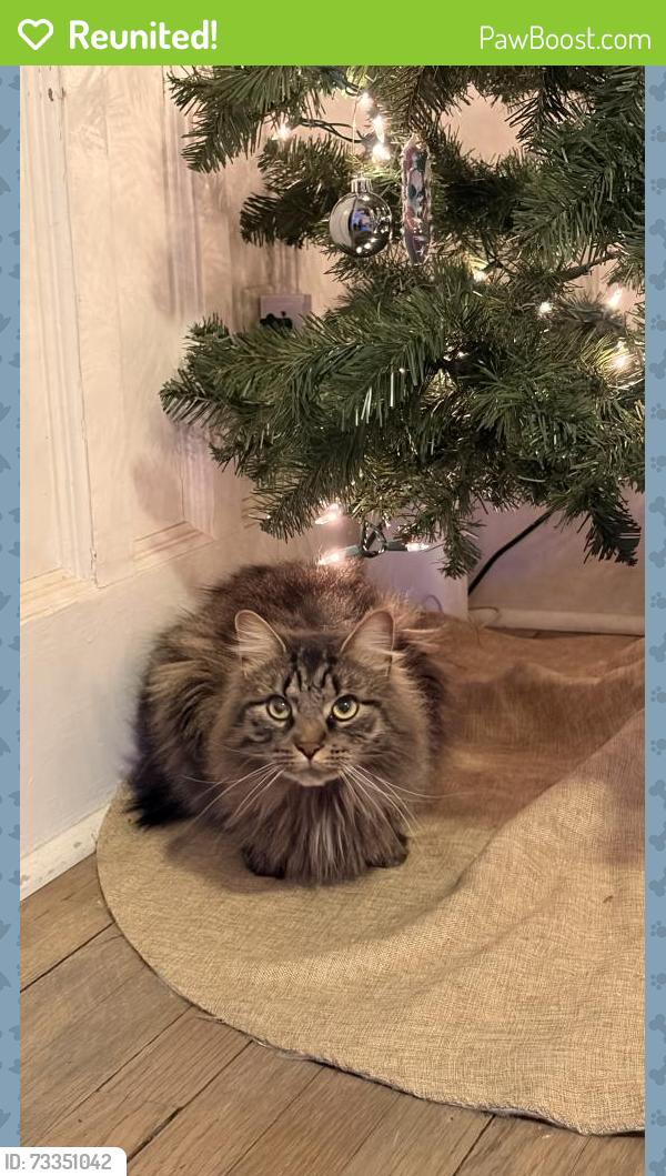Reunited Male Cat last seen Fairhome, Battle Creek, MI 49015