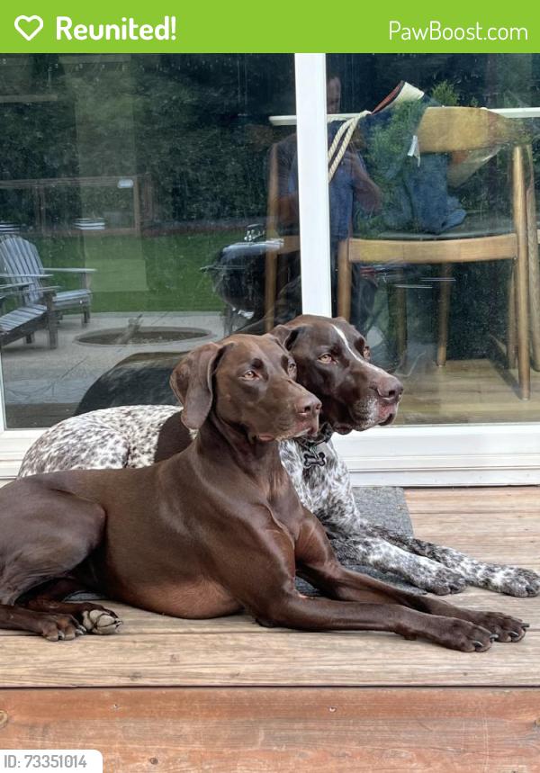 Reunited Male Dog last seen Near Van Buren St NE, Ham Lake, MN 55304, USA, Ham Lake, MN 55304