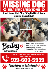 Lost Female Dog last seen Capital Blvd, Raleigh, NC 27604
