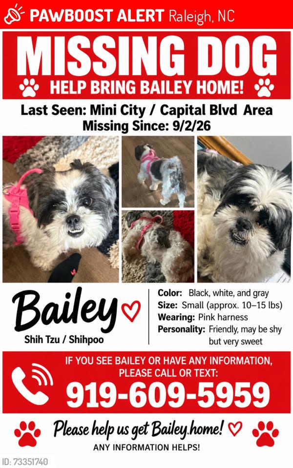 Lost Female Dog last seen Capital Blvd, Raleigh, NC 27604