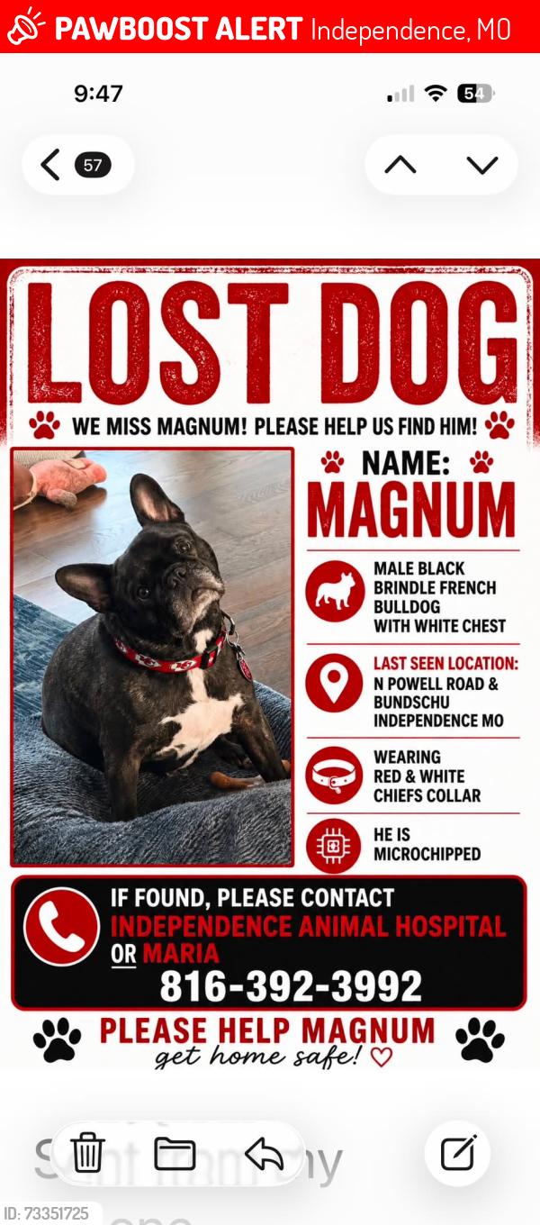 Lost Male Dog last seen 20832-20800 E Bundschu Rd, Independence, MO 64056, Independence, MO 64056