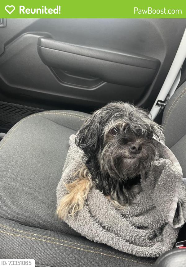 Reunited Female Dog last seen Near corner of Price Avenue & High St, right outside Mission Coffee, Columbus, OH 43201