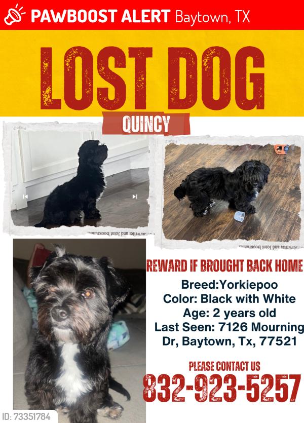 Lost Male Dog last seen Near Mourning Dr, Baytown, TX 77521