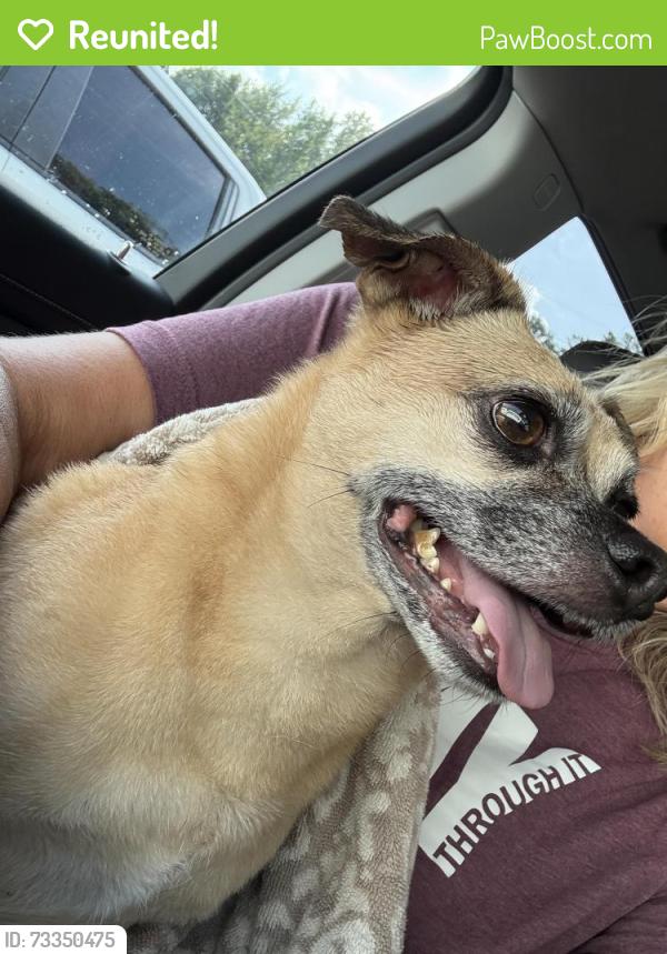 Reunited Male Dog last seen area of State Route 132 & E Concord Road, Amelia, OH 45102