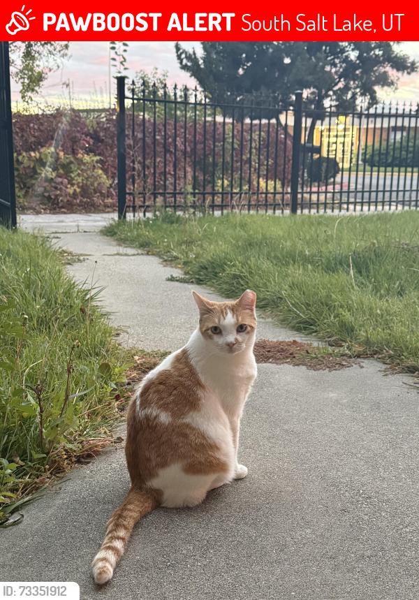 Lost Female Cat last seen Near s 300 w, South Salt Lake, UT 84115