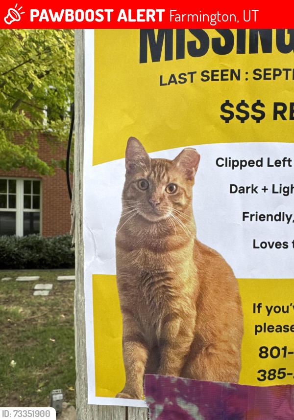 Lost Male Cat last seen Farmington city hall building, Farmington, UT 84025