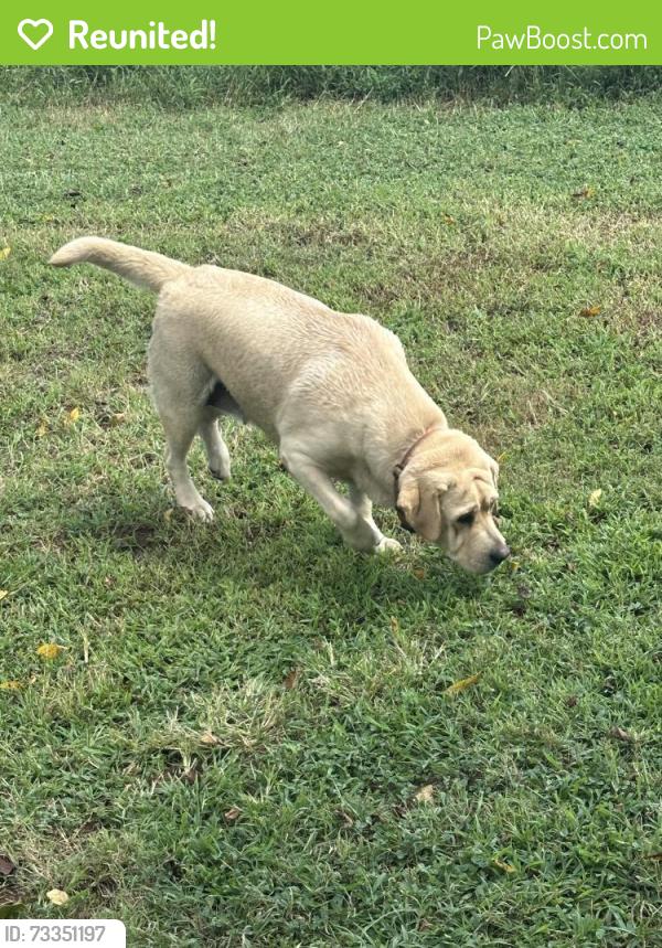 Reunited Unknown Dog last seen Namozine Rd, Amelia County, VA 23002