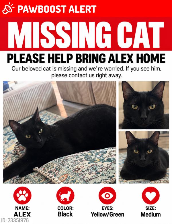 Lost Male Cat last seen Lakeview Retreat, Fort Bend County, TX 77407