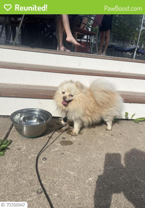 Reunited Male Dog last seen 3rd and Cypress, Saint Paul, MN 55106