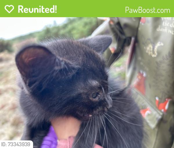 Reunited Female Cat last seen In the wood by the main road not near hses, East Winch, England 