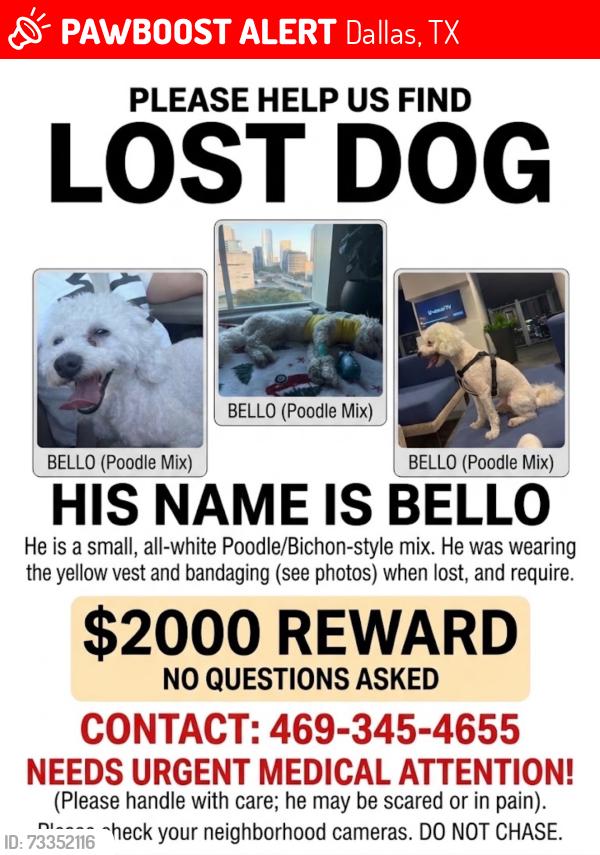 Lost Male Dog last seen Near S Buckner Blvd Dallas , TX 75217, Dallas, TX 75217