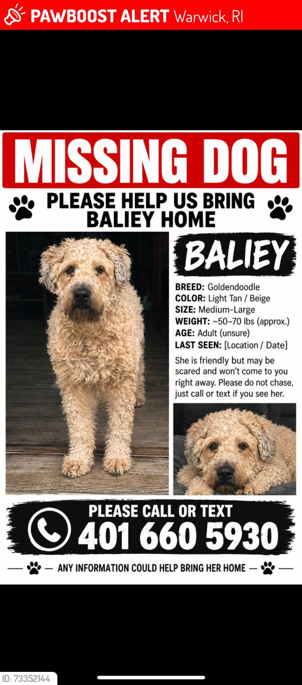 Lost Female Dog last seen Near Ormsby ave, Warwick, RI 02886