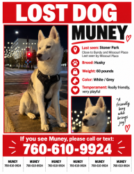 Lost Male Dog last seen Missouri / bundy, Los Angeles, CA 90025