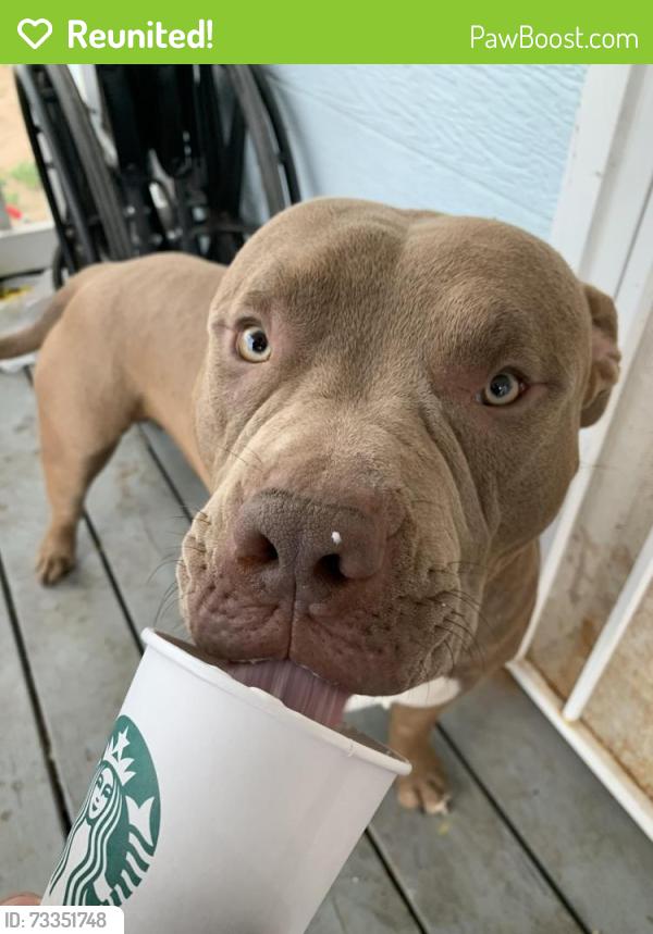 Reunited Male Dog last seen Monaco street, Commerce City, CO 80022