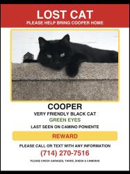 Lost Male Cat last seen Via Lomas de Yorba east/la Palma, Yorba Linda, CA 92887