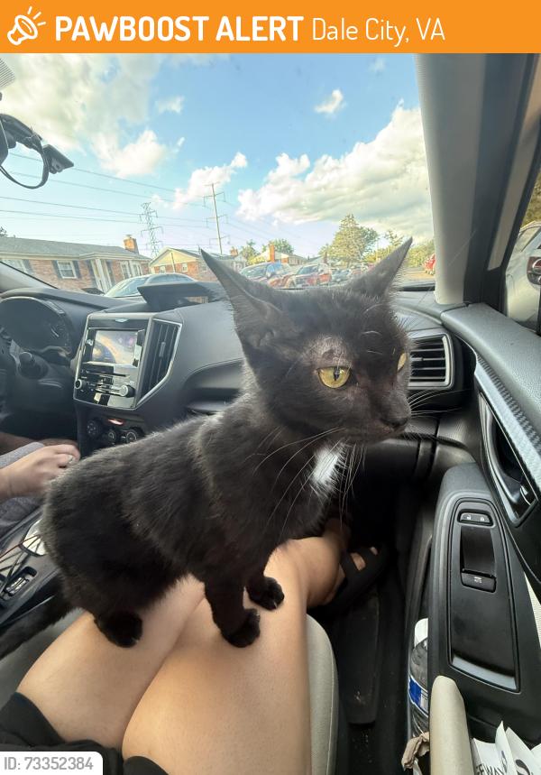 Found/Stray Unknown Cat last seen At a stop sifn, Dale City, VA 22193