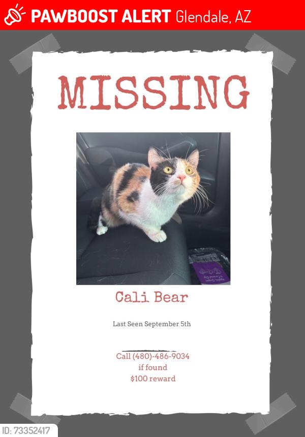 Lost Female Cat last seen greenway and 51st, Glendale, AZ 85306