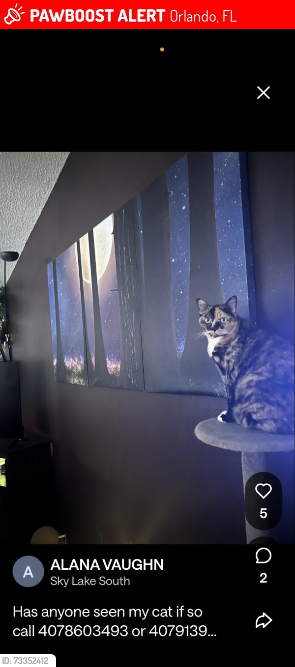 Lost Female Cat last seen John young parkway, Orlando, FL 32837