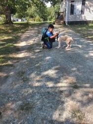 Reunited Male Dog last seen Holly grove rd, Lexington, NC 27292